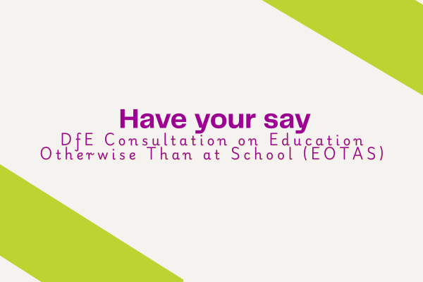 education other than at school eotas consultation medway parent and carers